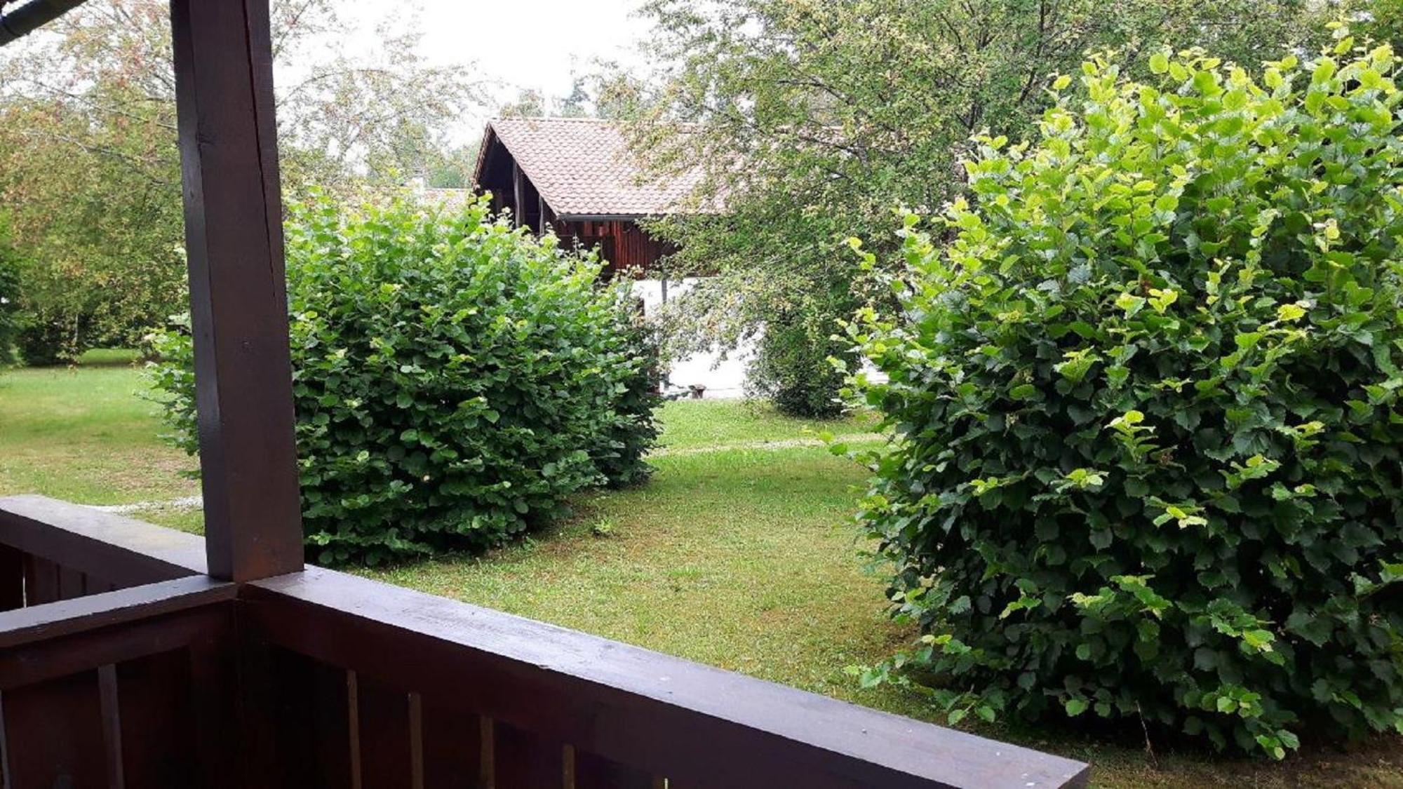 Ferienhaus Virzi - Waldferiendorf Regen Exterior foto